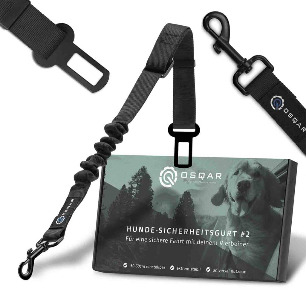 Produktfoto für Amazon von ein Hundegurt
